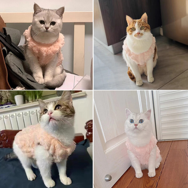 Mieli naminių kačių drabužiai Rudens žiemos liemenės paltas mažiems šunims katėms Minkštas jaukus šuniuko megztinis Čihuahua Jorkšyro kostiumas