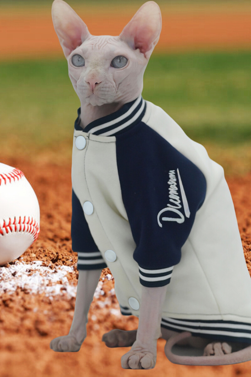 Itin minkšti kačių beisbolo marškinėliai žiemai su Sfinkso, Devono, Kornvalio ir kačiukų veislėmis