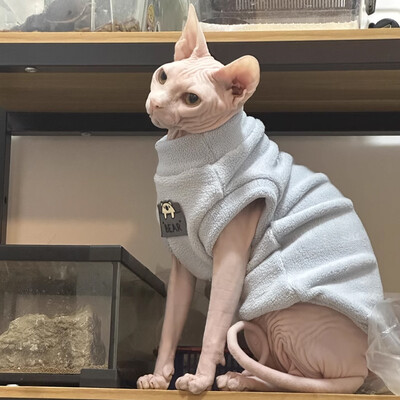 Pulover din lână caldă pentru pisică Palton de iarnă cu 2 picioare pentru pisica Sphynx Pulover galben pentru pisoi Câini Îmbrăcăminte moale pentru Devon Rex