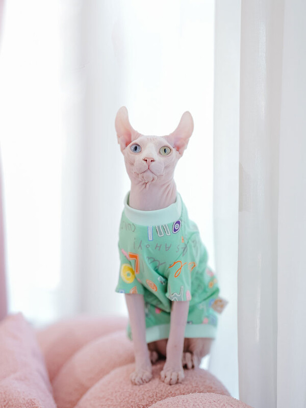 Haine pentru pisici Sphynx Subpela din bumbac moale, pisica fără păr, verde, moale, salopetă cu 2 picioare, pentru costume de pisică Devon Rex de primăvară