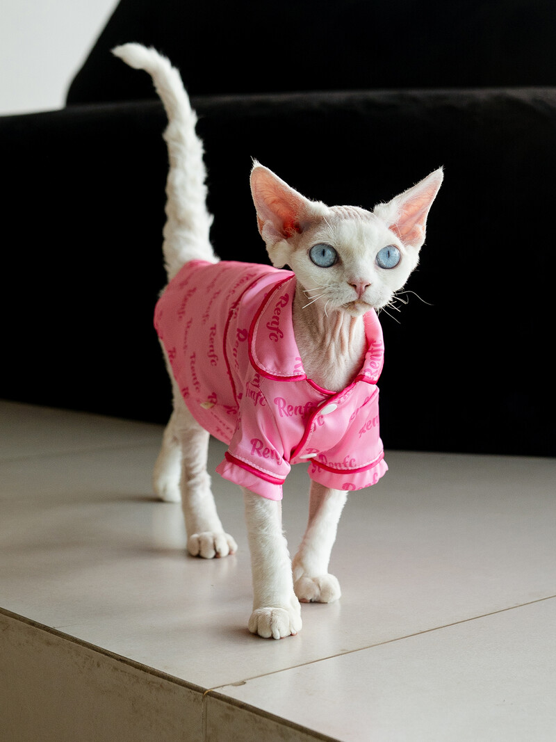 Sfinkso katės drabužiai Liemenės apatiniai rožiniai miela medvilninė pižama Vasariniai ploni beplaukių kačių drabužiai Devono kačių drabužių kačių tiekėjas