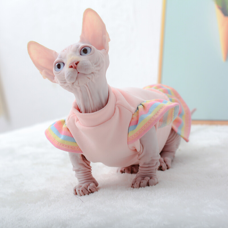 Haine de lux pentru pisici Sfinx Hanorace calde pentru cățeluși pentru câini de talie mică Costum elegant pentru pisoi Rochii de lux în curcubeu Îmbrăcăminte chihuahua