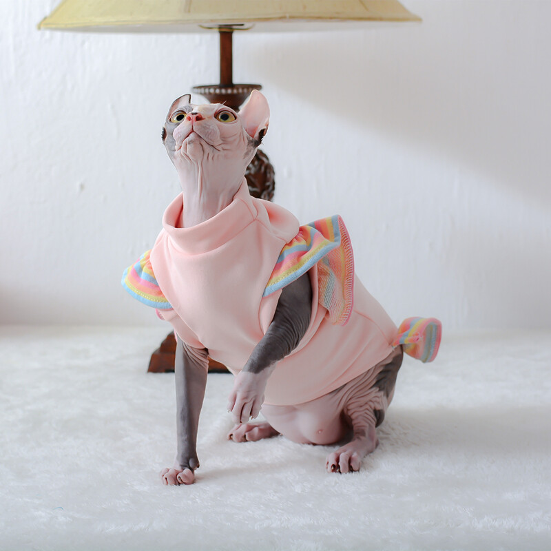 Haine de lux pentru pisici Sfinx Hanorace calde pentru cățeluși pentru câini de talie mică Costum elegant pentru pisoi Rochii de lux în curcubeu Îmbrăcăminte chihuahua