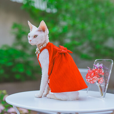 Elegantiška madinga sfinkso katės suknelė be plaukų, minkštos medvilnės prabangūs spalvingi lanko sijonai, skirti Devon Rex reikmenims augintiniams