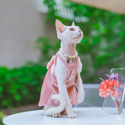 Elegantiška madinga sfinkso katės suknelė be plaukų, minkštos medvilnės prabangūs spalvingi lanko sijonai, skirti Devon Rex reikmenims augintiniams