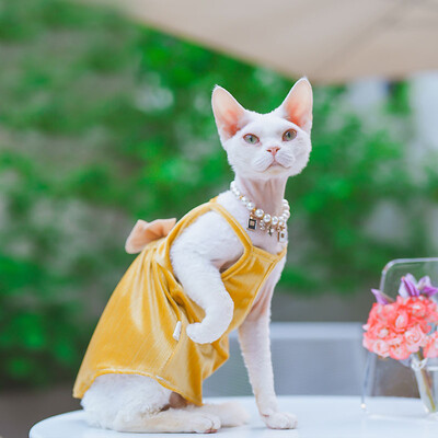 Elegantiška madinga sfinkso katės suknelė be plaukų, minkštos medvilnės prabangūs spalvingi lanko sijonai, skirti Devon Rex reikmenims augintiniams