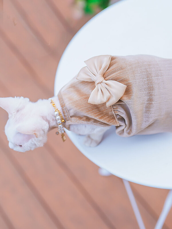 Elegantiška madinga sfinkso katės suknelė be plaukų, minkštos medvilnės prabangūs spalvingi lanko sijonai, skirti Devon Rex reikmenims augintiniams