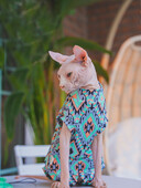 Odjeća za mačke Sphnyx Boemska potkošulja Dugi rukavi Za kućne ljubimce Meki pamučni kaput za mačiće Pse Kombinezon s 4 noge za Devon Rex