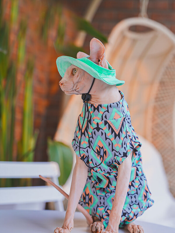 Odjeća za mačke Sphnyx Boemska potkošulja Dugi rukavi Za kućne ljubimce Meki pamučni kaput za mačiće Pse Kombinezon s 4 noge za Devon Rex