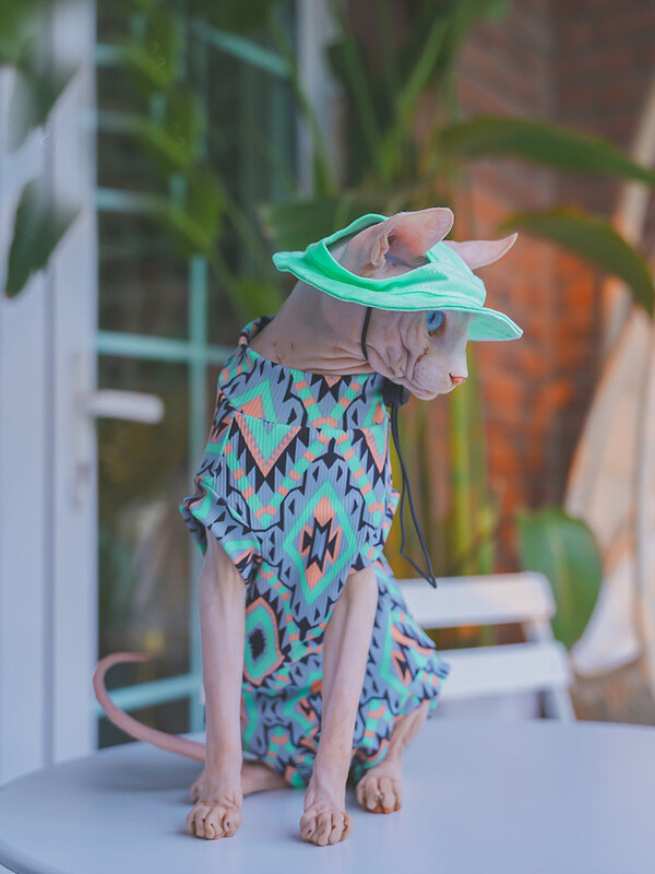 Odjeća za mačke Sphnyx Boemska potkošulja Dugi rukavi Za kućne ljubimce Meki pamučni kaput za mačiće Pse Kombinezon s 4 noge za Devon Rex