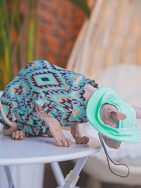 Odjeća za mačke Sphnyx Boemska potkošulja Dugi rukavi Za kućne ljubimce Meki pamučni kaput za mačiće Pse Kombinezon s 4 noge za Devon Rex