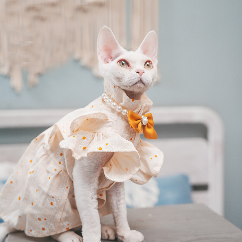 Prabangi Lotus katės suknelė su peteliške Sfinkso katės Devon Rex Conis katės kostiumas Kačiuko apranga Sfinkso katės suknelė Beplaukės katės drabužiai