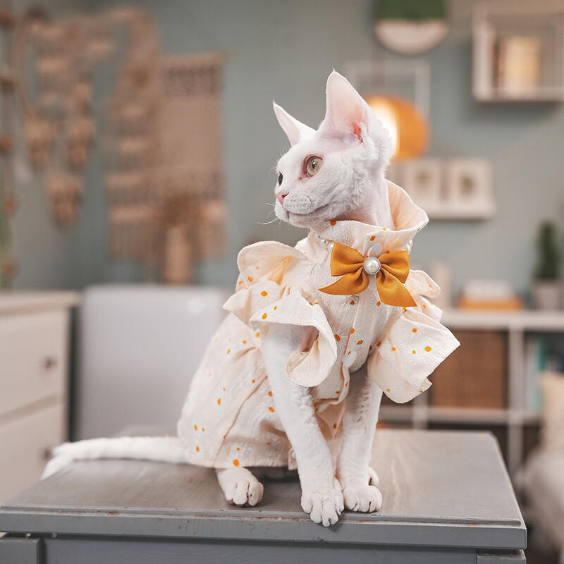 Prabangi Lotus katės suknelė su peteliške Sfinkso katės Devon Rex Conis katės kostiumas Kačiuko apranga Sfinkso katės suknelė Beplaukės katės drabužiai