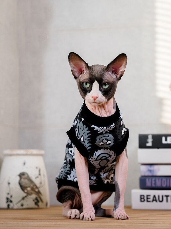 Vestă din bumbac pisică Sphynx Cămașă neagră fără mâneci pentru haină moale pentru pisici fără păr în primăvară pentru haine pentru animale de companie Devon Res pentru îmbrăcăminte de vară