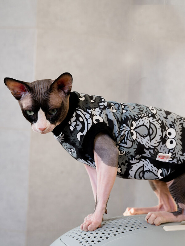 Vestă din bumbac pisică Sphynx Cămașă neagră fără mâneci pentru haină moale pentru pisici fără păr în primăvară pentru haine pentru animale de companie Devon Res pentru îmbrăcăminte de vară