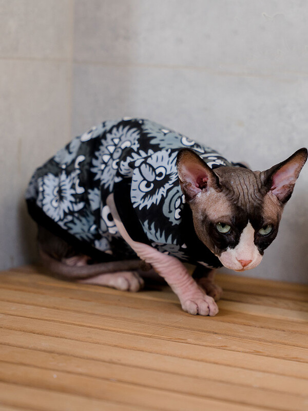 Vestă din bumbac pisică Sphynx Cămașă neagră fără mâneci pentru haină moale pentru pisici fără păr în primăvară pentru haine pentru animale de companie Devon Res pentru îmbrăcăminte de vară