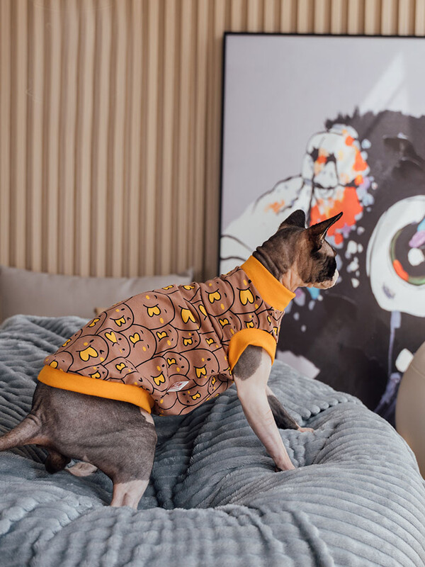 Sfinksi kassi riided Kassi puuvillane T-särk Mood Multifilm Vest Hirlleta kassile Devon Rex Hea elastsusega mantel Kevadriiete jaoks