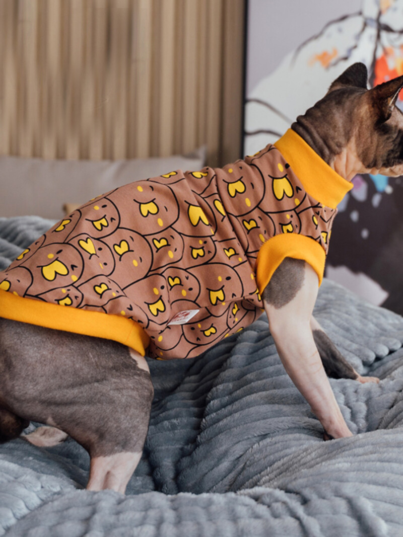 Sfinksi kassi riided Kassi puuvillane T-särk Mood Multifilm Vest Hirlleta kassile Devon Rex Hea elastsusega mantel Kevadriiete jaoks