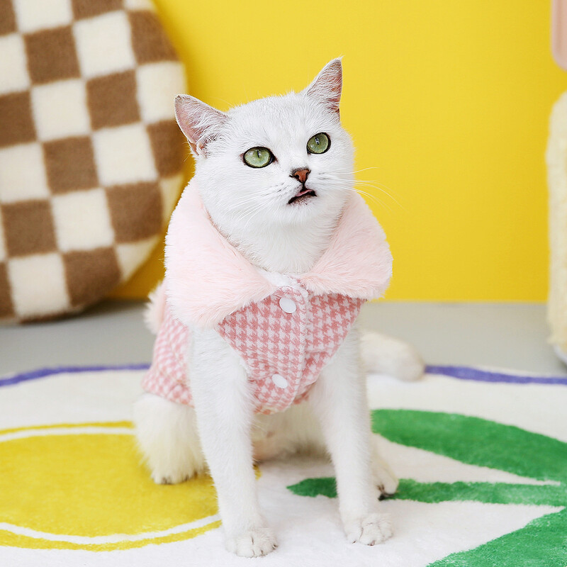 Prabangus žieminis katės paltas su sagtimi Šilti naminių gyvūnėlių drabužiai katėms Kačiuko drabužiai šunų paltai maskoto kostiumas