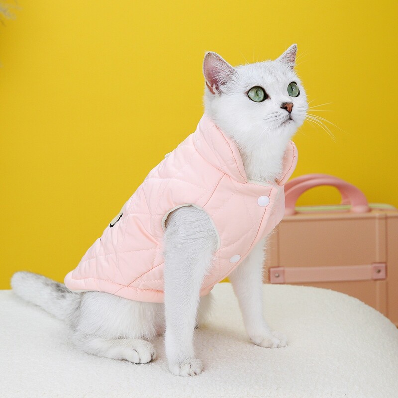 Žieminiai katės drabužiai Animacinių filmų raštas Šilti naminių gyvūnėlių paltai Kačiuko Sfinkso katės drabužiai Ropa Mascota