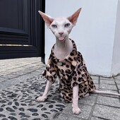 Kačių rūbai Vasariniai leopardo marškinėliai Sfinksui Kačių atpalaiduojanti palaidinė kačiukams Gatvės fotografijai Didelio dydžio paltas, skirtas Devon Rex