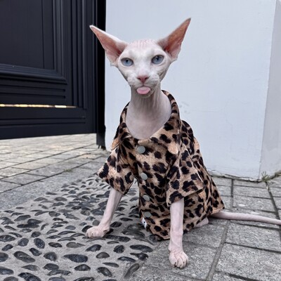 Kačių rūbai Vasariniai leopardo marškinėliai Sfinksui Kačių atpalaiduojanti palaidinė kačiukams Gatvės fotografijai Didelio dydžio paltas, skirtas Devon Rex