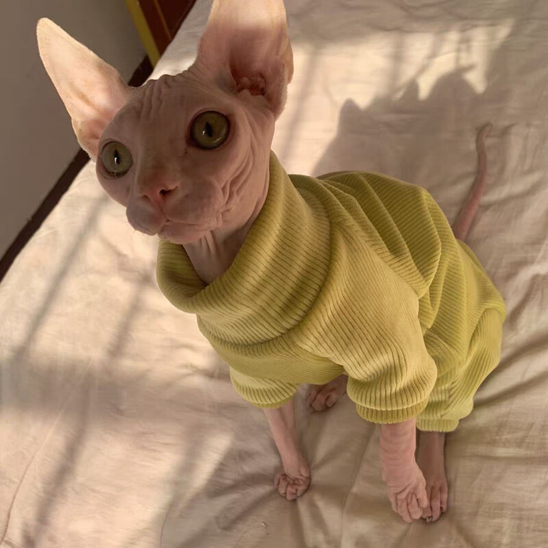 Pulover din lână caldă pentru pisică Palton de iarnă cu 4 picioare pentru pisica Sphynx Pulover galben pentru pisoi Câini Îmbrăcăminte moale pentru Devon Rex