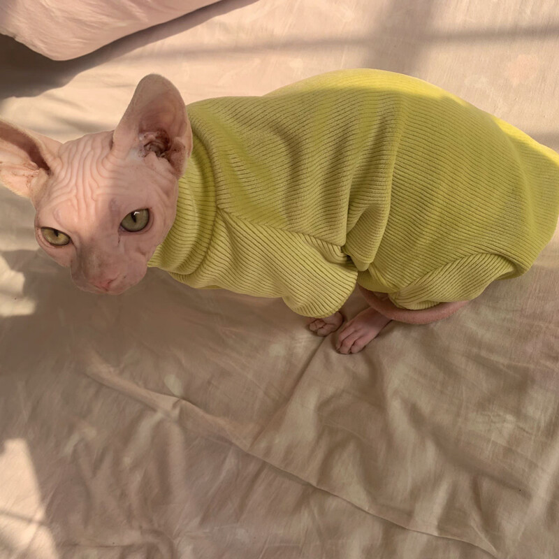 Pulover din lână caldă pentru pisică Palton de iarnă cu 4 picioare pentru pisica Sphynx Pulover galben pentru pisoi Câini Îmbrăcăminte moale pentru Devon Rex