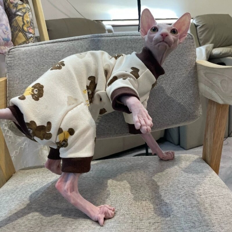 Hanorac din bumbac polar cu urs de desene animate pentru pisică Îmbrăcăminte caldă cu 4 picioare pentru pisica Sphynx în primăvară, toamnă, jachetă moale pentru pisoi