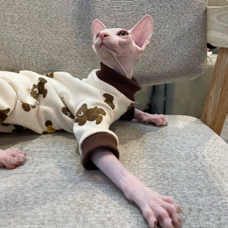 Hanorac din bumbac polar cu urs de desene animate pentru pisică Îmbrăcăminte caldă cu 4 picioare pentru pisica Sphynx în primăvară, toamnă, jachetă moale pentru pisoi