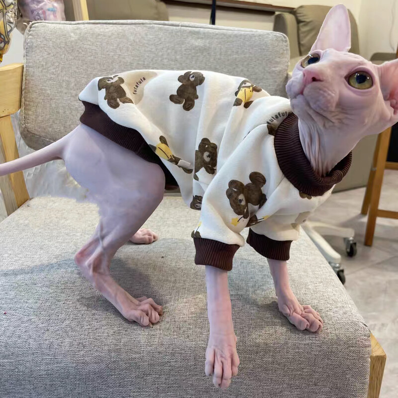 Hanorac din bumbac polar cu urs de desene animate pentru pisică Îmbrăcăminte caldă cu 4 picioare pentru pisica Sphynx în primăvară, toamnă, jachetă moale pentru pisoi