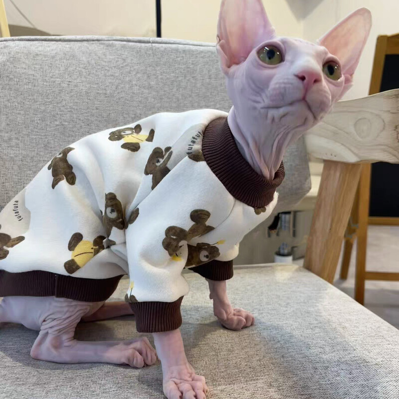 Hanorac din bumbac polar cu urs de desene animate pentru pisică Îmbrăcăminte caldă cu 4 picioare pentru pisica Sphynx în primăvară, toamnă, jachetă moale pentru pisoi
