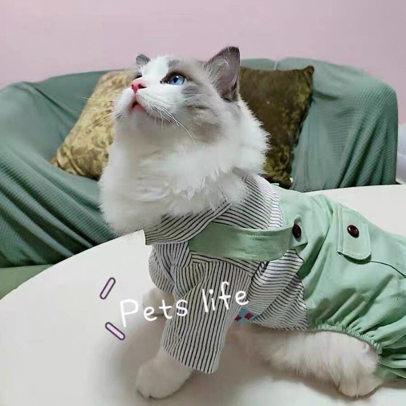 Drabužiai naminiams gyvūnėliams Mažas šuo Keturkojis Drabužiai Plaidas Dryžuotas Kombinezonas Mielas Patogios Kelnės su pakabukais Pomeranian Chihuahua Jorkšyras