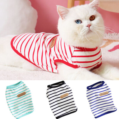Vasaros sfinkso katės liemenės marškinėliai Stripe Pet Drabužiai be rankovių katėms Gotas Garfield Kačiuko marškinėliai maskotai Drabužiai vetement chat