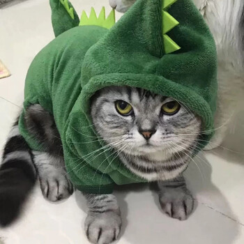 Dinosaur Dog Cat Hoodie Μικρά χειμερινά ρούχα για σκύλους και γάτες Πράσινη μαλακή φόρμα για κατοικίδια Dinosaur Χαριτωμένη χριστουγεννιάτικη αποκριάτικη στολή για γατάκι