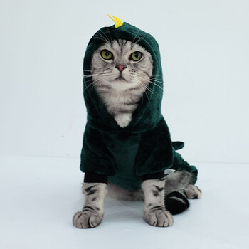 Dinosaur Dog Cat Hoodie Μικρά χειμερινά ρούχα για σκύλους και γάτες Πράσινη μαλακή φόρμα για κατοικίδια Dinosaur Χαριτωμένη χριστουγεννιάτικη αποκριάτικη στολή για γατάκι