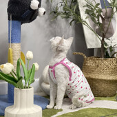 Apģērbs kaķim Sfinksa Kaķim Mīksta auduma vasaras krekls kaķēniem Rozā sirds raksta atpūtas apģērbs Devon Rex pavasarī