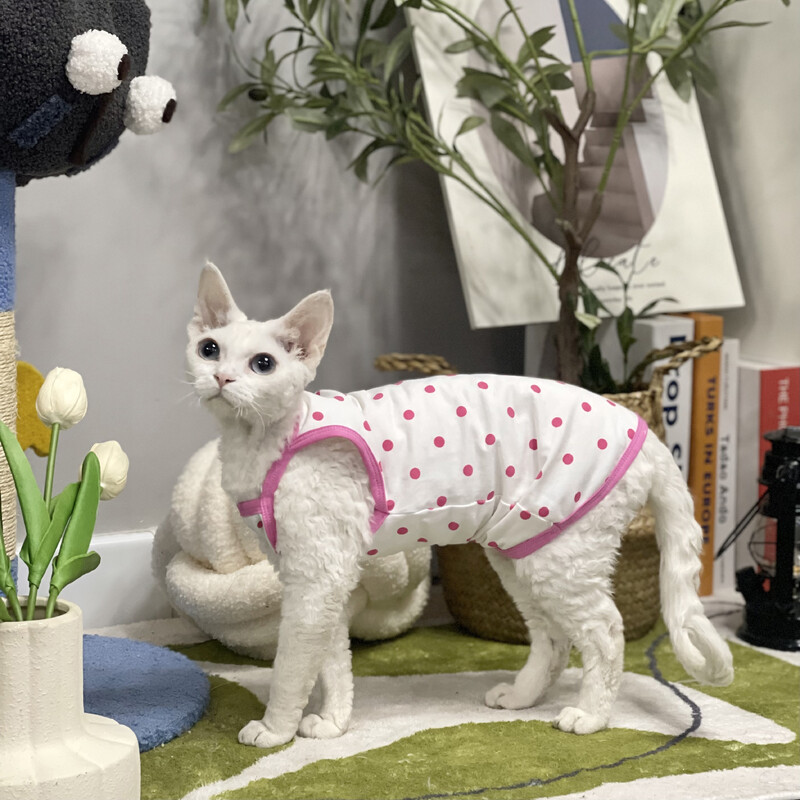 Apģērbs kaķim Sfinksa Kaķim Mīksta auduma vasaras krekls kaķēniem Rozā sirds raksta atpūtas apģērbs Devon Rex pavasarī