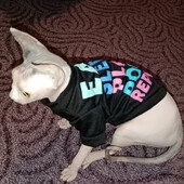 Tricou cu imprimeu la modă, pisică, cățeluș, vestă, din bumbac confortabil, haine de vară pentru animale de companie, pentru pisici, câini de talie mică, sphynx ragdoll, haine pentru pisoi, ropa gato