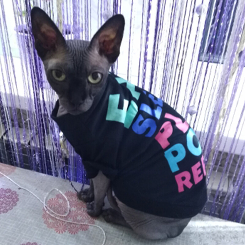 Tricou cu imprimeu la modă, pisică, cățeluș, vestă, din bumbac confortabil, haine de vară pentru animale de companie, pentru pisici, câini de talie mică, sphynx ragdoll, haine pentru pisoi, ropa gato
