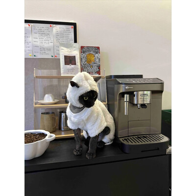 Medvilninės vilnos kačių marškinėliai beplaukėms katėms ir mažiems šunims – jaukus keturkojis sfinkso Devon džemperis, pagamintas iš neaustinės, grynos medvilnės