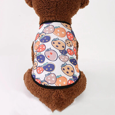 Vasaros sfinkso katės drabužiai Mieli spausdinti augintinio liemenės marškinėliai katėms Gotas Kitten Kedi marškinėliai maskotai šunų drabužiai ropa para gato