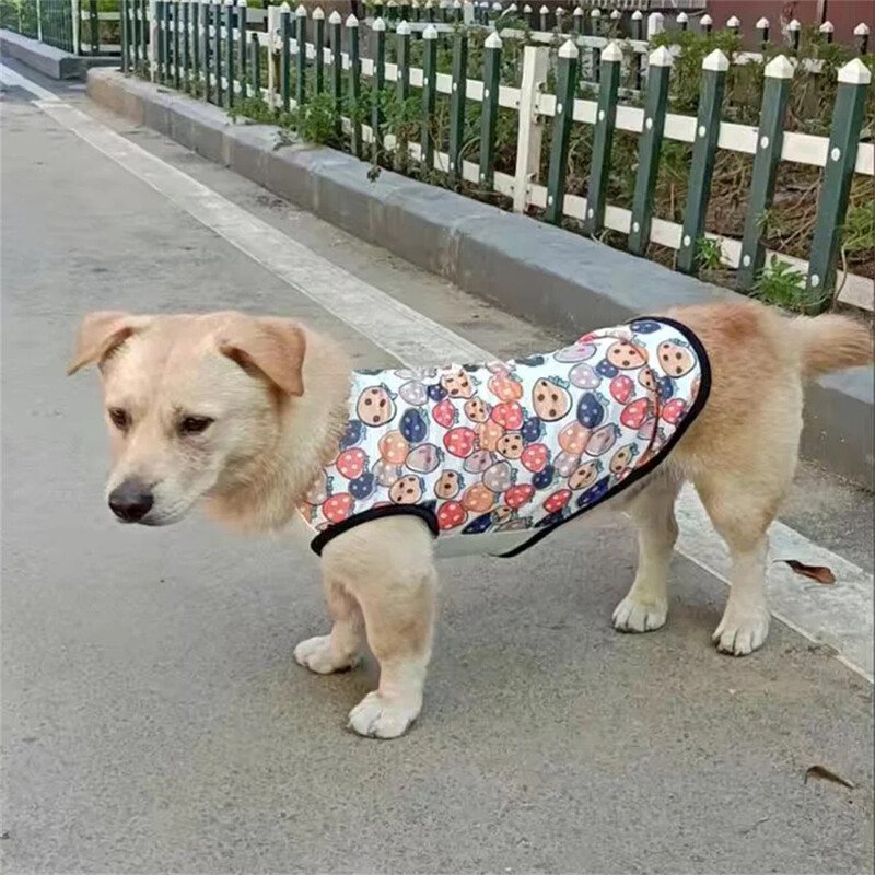 Vasaros sfinkso katės drabužiai Mieli spausdinti augintinio liemenės marškinėliai katėms Gotas Kitten Kedi marškinėliai maskotai šunų drabužiai ropa para gato