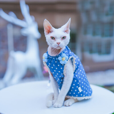Rochie de flori albastră din bumbac pentru pisică Sphynx Cămașă moale fără mâneci pentru pisici de sex feminin Fusta cu vestă dulce pentru pisici Devon Rex
