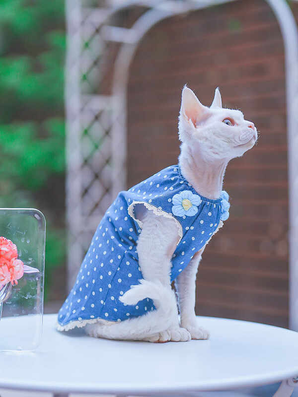 Rochie de flori albastră din bumbac pentru pisică Sphynx Cămașă moale fără mâneci pentru pisici de sex feminin Fusta cu vestă dulce pentru pisici Devon Rex