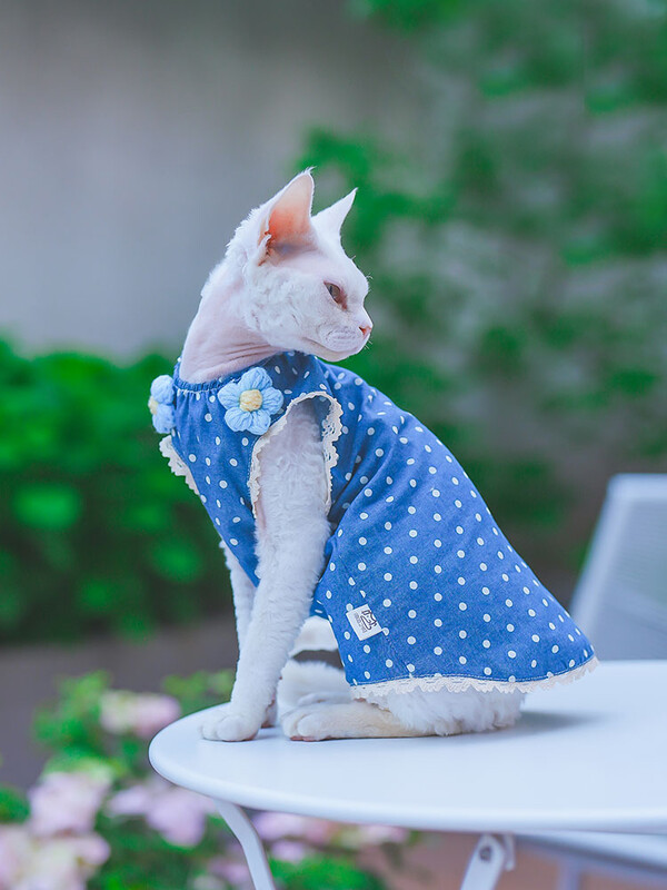 Rochie de flori albastră din bumbac pentru pisică Sphynx Cămașă moale fără mâneci pentru pisici de sex feminin Fusta cu vestă dulce pentru pisici Devon Rex
