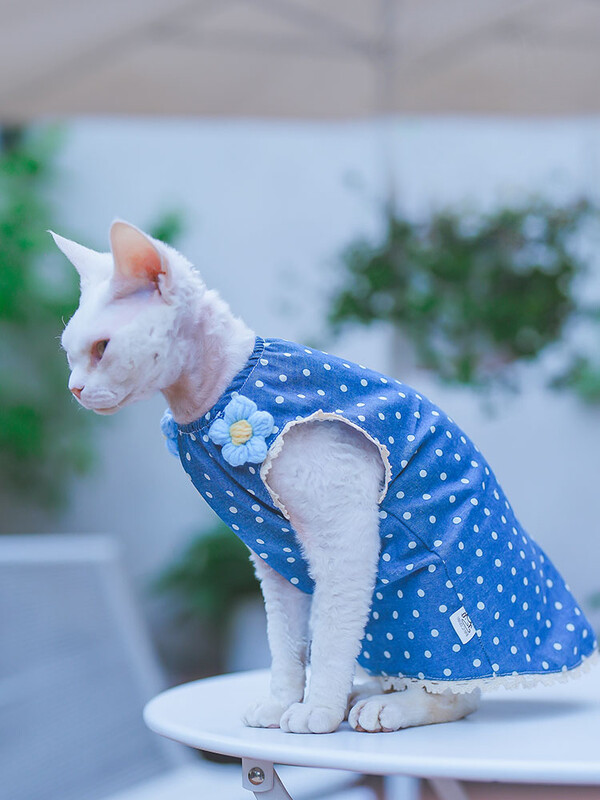 Rochie de flori albastră din bumbac pentru pisică Sphynx Cămașă moale fără mâneci pentru pisici de sex feminin Fusta cu vestă dulce pentru pisici Devon Rex