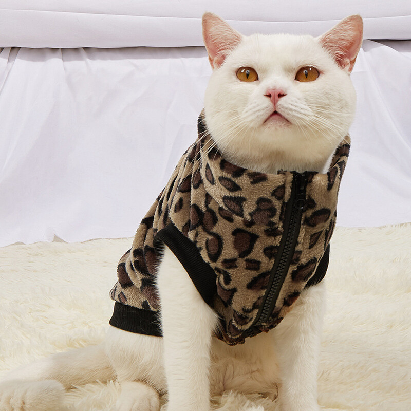 Toamnă iarnă caldă pentru animale de companie, pisici, haine pentru câini, haină leopard, jachetă, costum, sfinx, chat, costum, bunuri pentru pisici, îmbrăcăminte, sfinte, lucruri pentru pisici