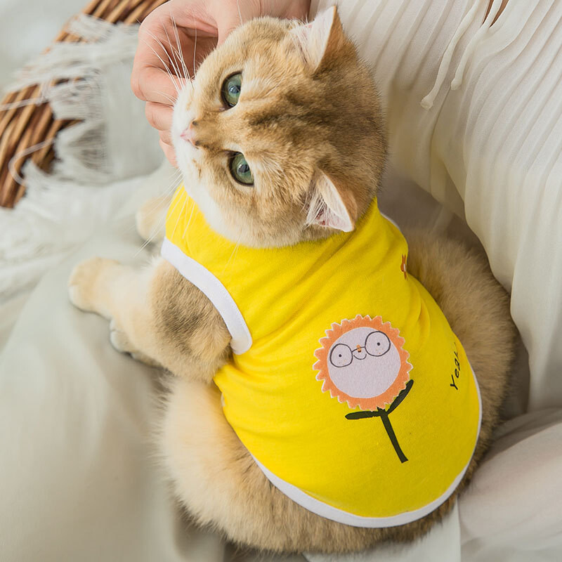 Multfilmas jaukas kucēnu drēbes maziem suņiem Pavasara brīvā laika kaķa kostīms kaķēnu apdrukai Mājdzīvnieku drēbes maziem suņu vestēm