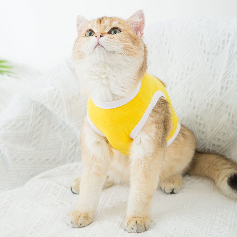 Multfilmas jaukas kucēnu drēbes maziem suņiem Pavasara brīvā laika kaķa kostīms kaķēnu apdrukai Mājdzīvnieku drēbes maziem suņu vestēm